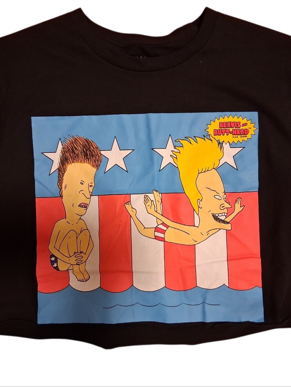 Beavis and Butt-Head Graphic Tee - Black with Patriotic Print